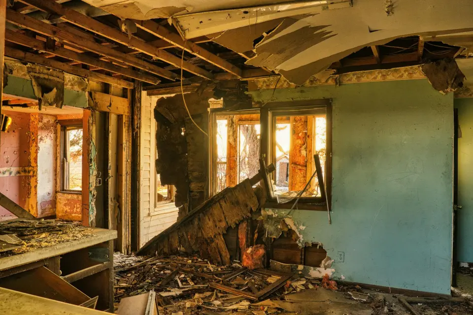 Macon's Leading Mold Removal Company — Macon, GA
